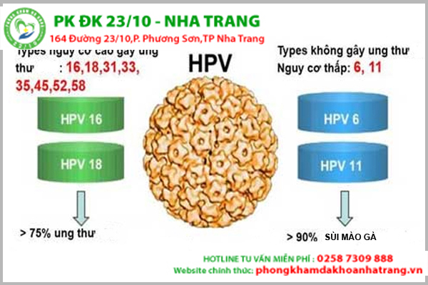 Virus HPV là gì?