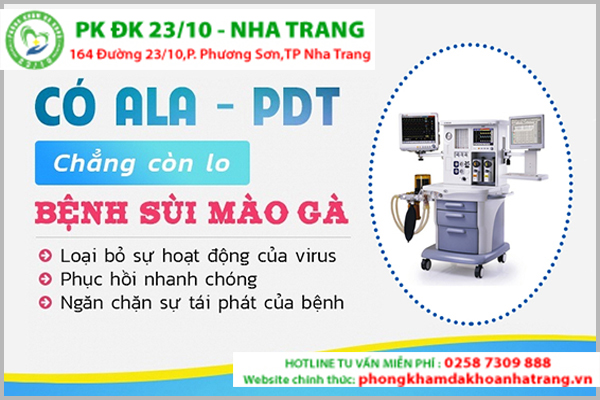 Thuốc hỗ trợ trị sùi mào gà hiệu quả không?