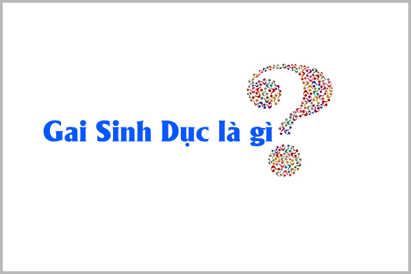 BỆNH GAI SINH DỤC LÀ GÌ VÀ CÓ NGUY HIỂM KHÔNG?