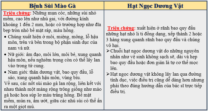 Gai sinh dục triệu chứng ban đầu của các bệnh nguy hiểm