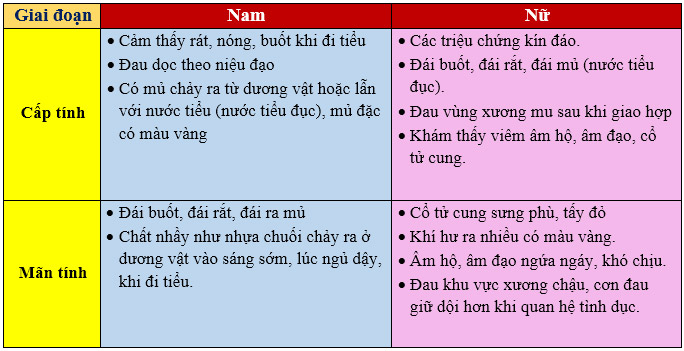 Các giai đoạn phát triển của bệnh lậu