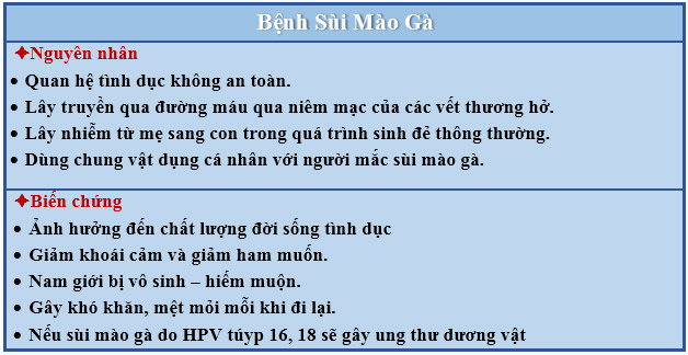 Nguyên nhân và biến chứng của sùi mào gà ở nam giới