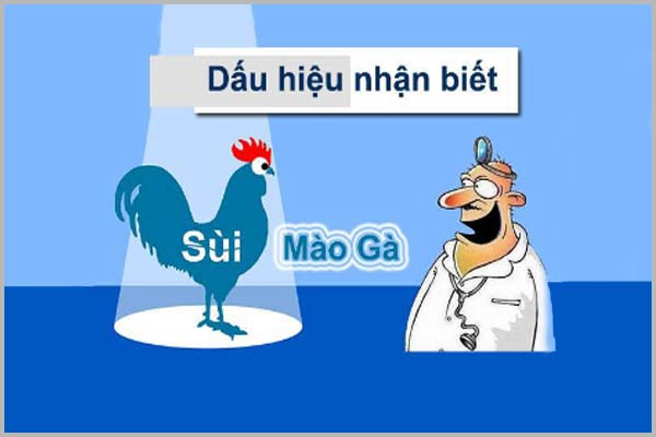 DẤU HIỆU NHẬN BIẾT BỆNH SÙI MÀO GÀ CẦN CHÚ Ý