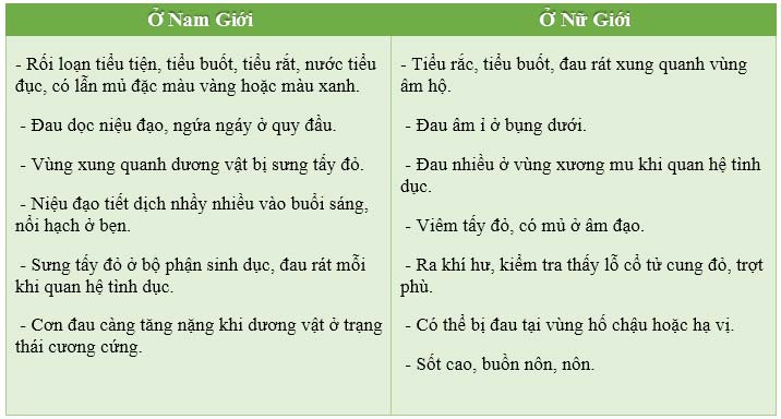 Triệu chứng, dấu hiệu bệnh lậu mủ biểu hiện ở cả nam và nữ