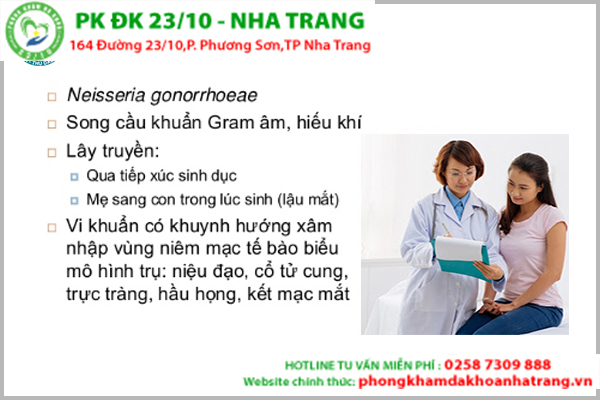 Neisseria gonorrhoeae chính là nguyên nhân gây ra bệnh lậu